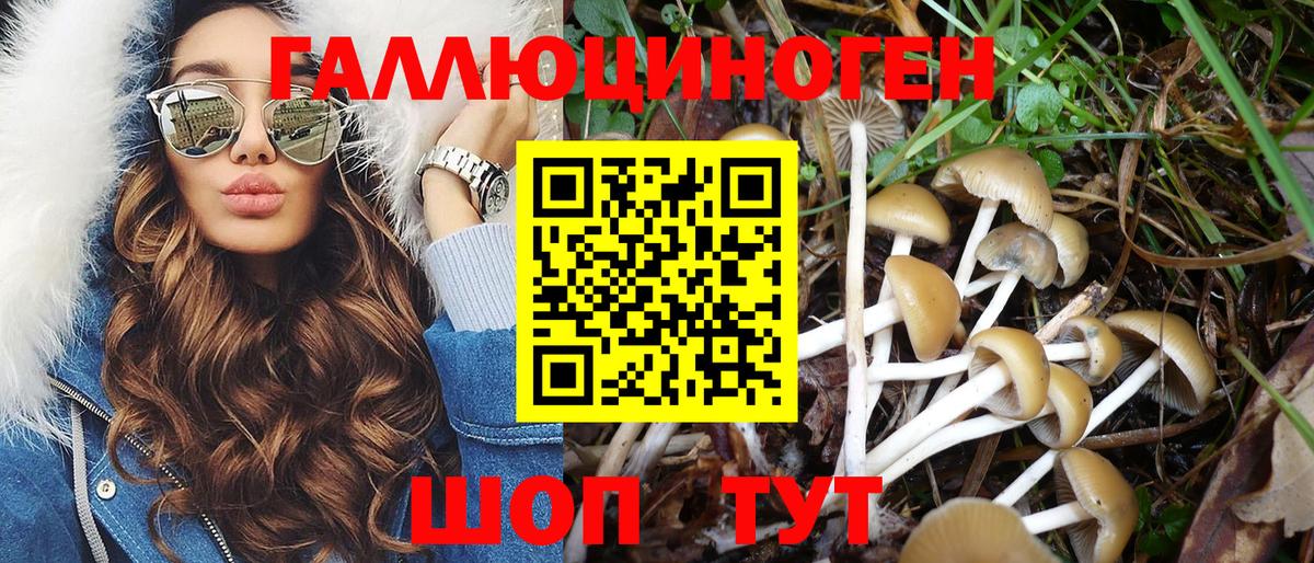 Галлюциногенные грибы прущие грибы  Вход с VPN  Звенигород 